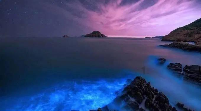 梦想的后院