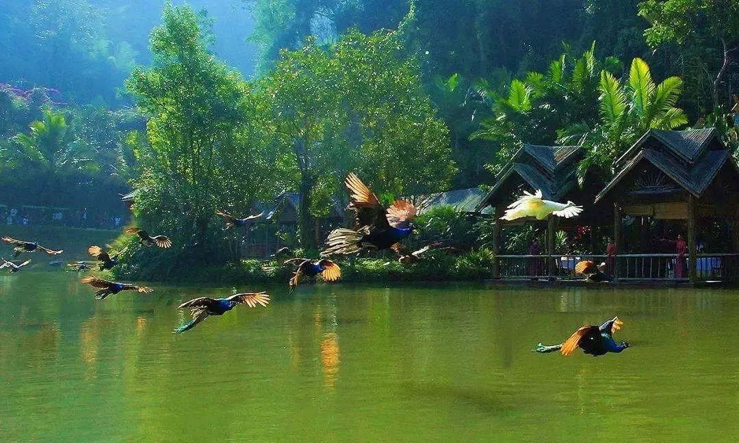 冰晶对对碰