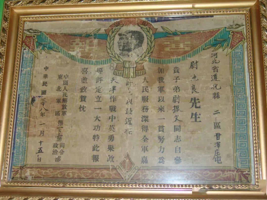 敏捷的白球